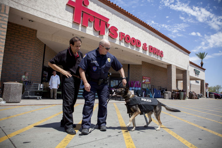K9 vests